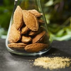 Nuxe Bio Micro-Exfoliating Cleansing Mask Poudre De Noyaux De Nuxe -Soldes Soins Et Beauté Nuxe Nuxe Bio Fruit Stone Powder Micro Exfoliating Cleansing Mask 96952x3 4