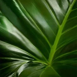 Nuxe Bio Radiance Detox Mask Graines De Sésame & Extrait D'agrumes De Nuxe -Soldes Soins Et Beauté Nuxe Nuxe Bio Sesame Seeds Citrus Extract Radiance Detox Mask 96941x4 4