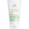 Elements Purifying Pre-shampoo Clay De Wella