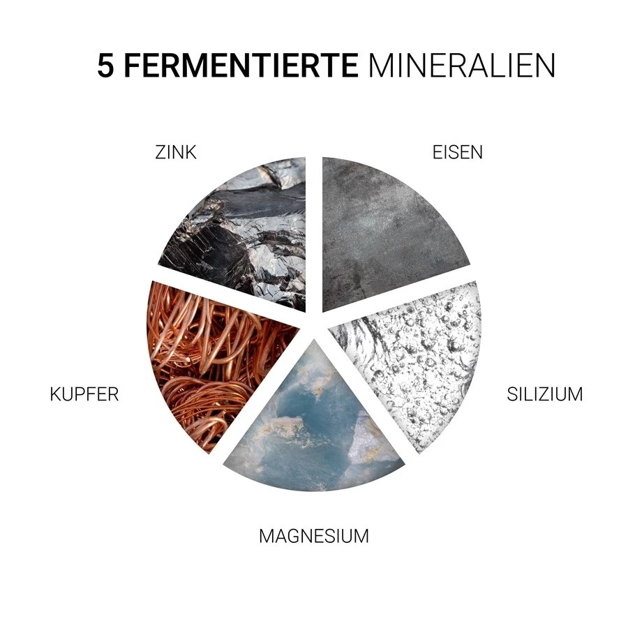 Essential Shampoo De Wella 5 Essential Shampoo De Wella – Image 5