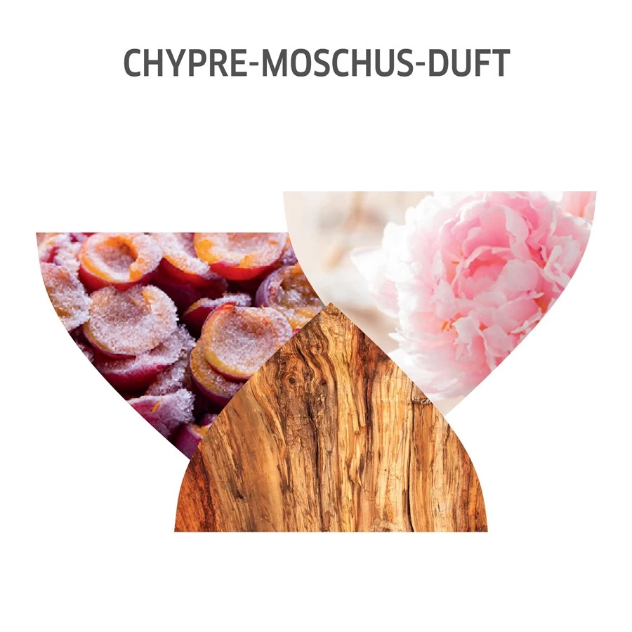 Nutri-Enrich Nourishing Concentrate Nutri Booster De Wella 6 Nutri-Enrich Nourishing Concentrate Nutri Booster De Wella – Image 6