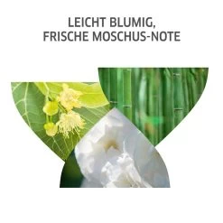 Volume Boost Bodifying Foam De Wella -Soldes Soins Et Beauté Wella Volume Boost Bodifying Foam 75459x5 6